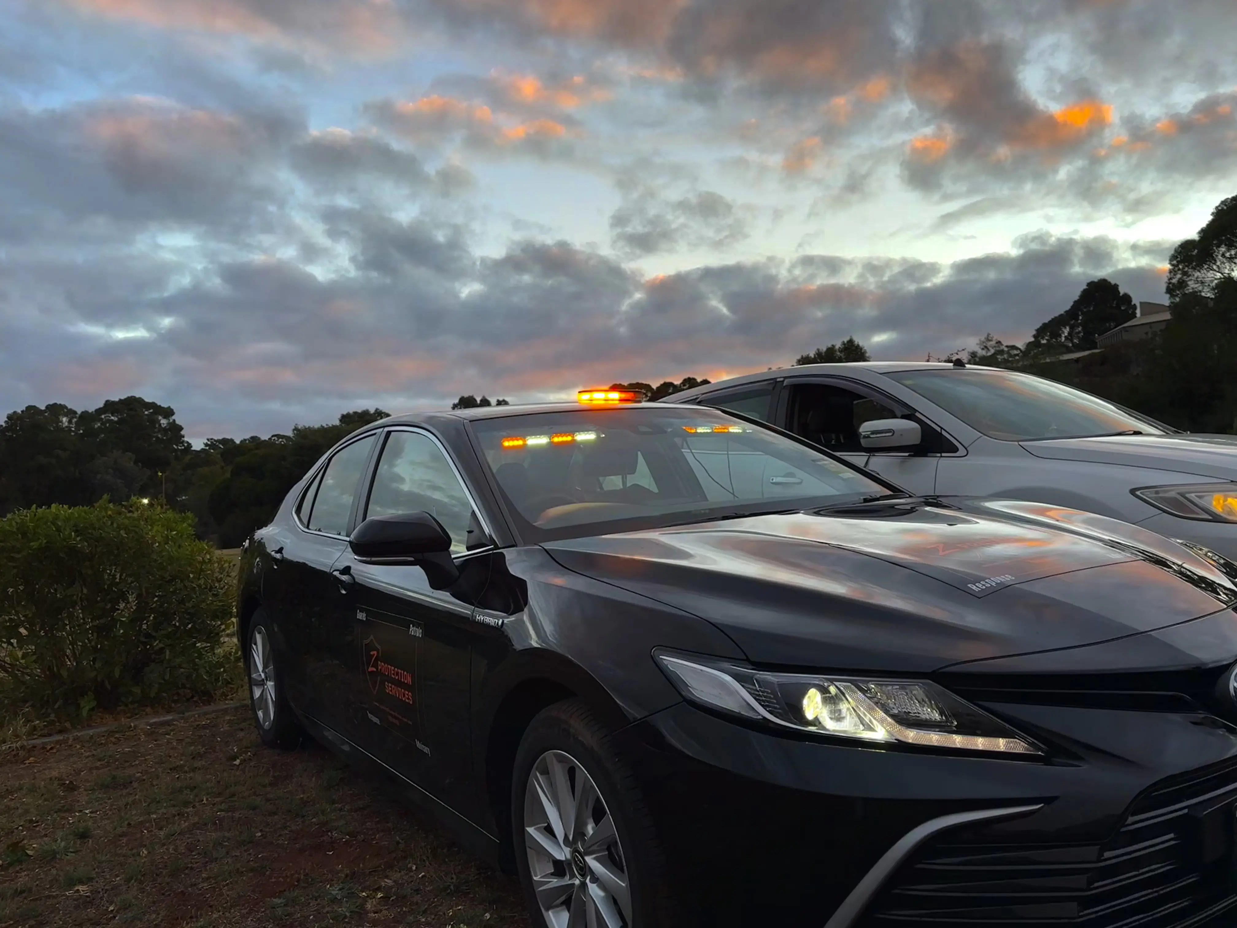 Security professional